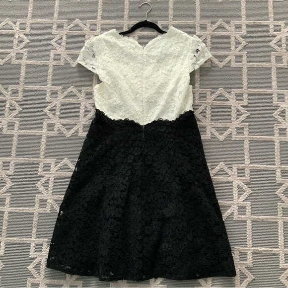 Betsey Johnson Black White Lace Fit and Flare - Picture 5 of 13